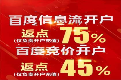 高效百度竞价推广代运营实战案例
